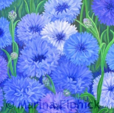 Cornflowers, oil on canvas by Marina Elphick, painter and batik artist working in the UK