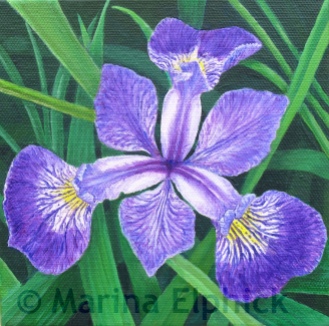 Blue Flag, oil on canvas by Marina Elphick, painter and batik artist working in the UK Flag,